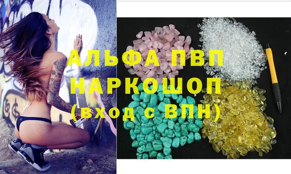 PSILOCYBIN Балахна